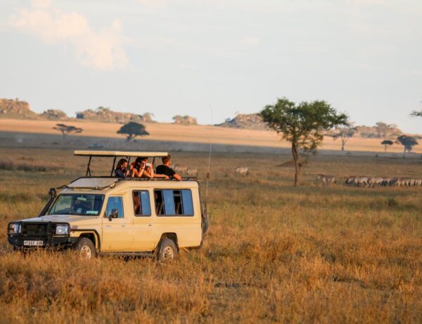 Home - Ashe Tanzania Tours & Safari